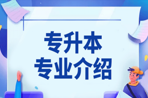 2021年浙江专升本仅有一所院校招生的专业盘点