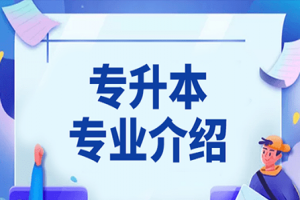 广东石油化工学院专插本学前教育专业介绍