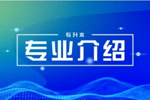 数字经济学什么