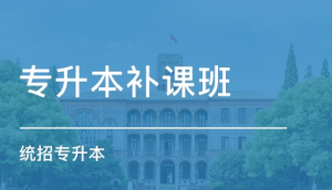 湖南统招专升本丨语文选择题 (历年真题)
