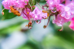 规范答题、保证时间