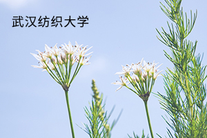 武汉纺织大学