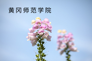 黄冈师范学院