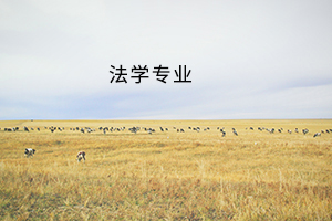 法学专业