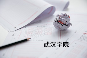 武汉学院