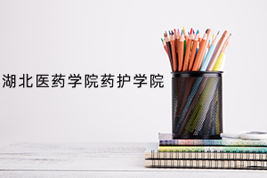 湖北医药学院药护学院