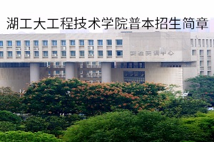 湖工大工程技术学院普本招生简章