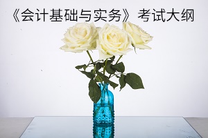 《会计基础与实务》考试大纲 