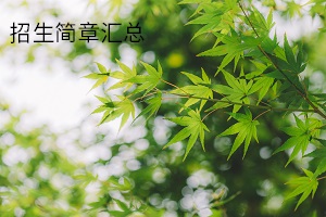 招生简章