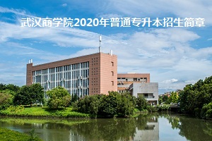 武汉商学院2020年普通专升本招生简章：招生计划及考试科目(图1)