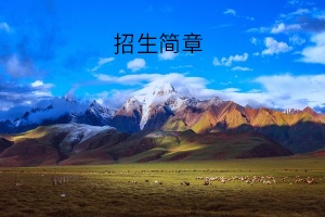 招生简章