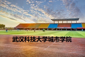 武汉科技大学城市学院