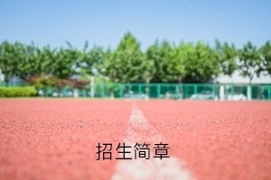 招生简章