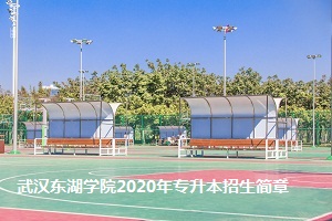 武汉东湖学院2020年普通专升本招生简章