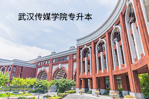 武汉传媒学院2020年普通专升本考试招生简章：招生计划及报考流程(图1)