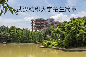 武汉纺织大学2020年普通专升本招生简章(图1)