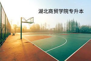 湖北商贸学院2020年普通专升本招生简章：招生计划及报名流程(图1)
