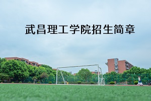 武昌理工学院招生简章