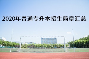招生简章汇总