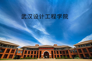 武汉设计工程学院