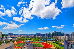 武汉工程科技学院
