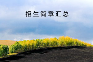 招生简章汇总