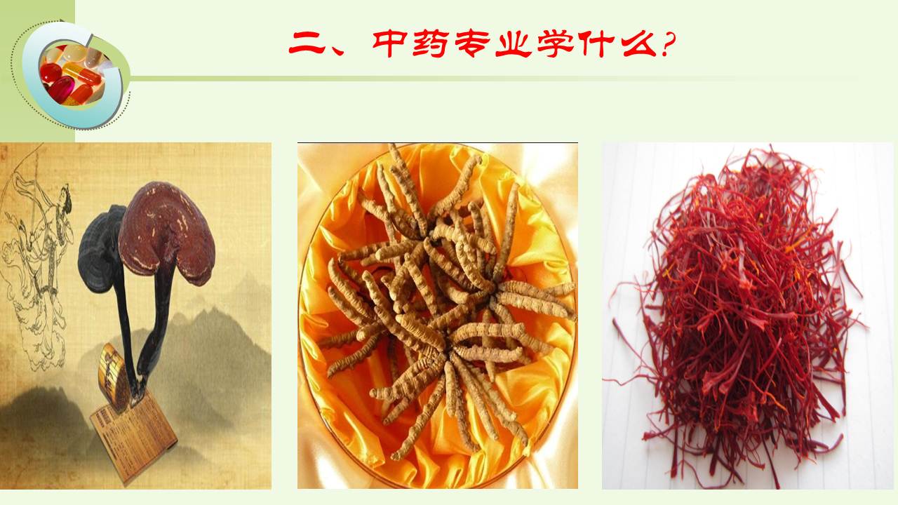 中药学专业(图5)