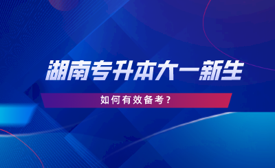 湖南专升本大一新生如何备考？新生必看指南！