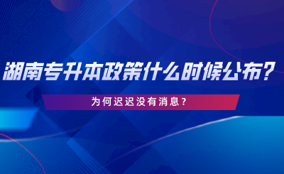 2024年湖南专升本政策什么时候公布？为何迟迟没有消息.png